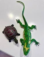 Reptilien vom Zooshop