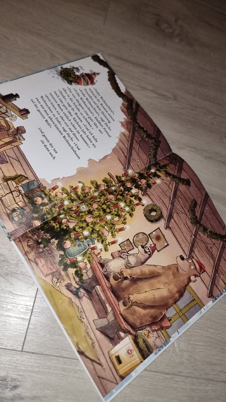 Libri: Dr. Brumm feiert Weihnachten, Kinderbuch gross format  – Usato da Wigoltingen venduto da Zuckerfee84 3