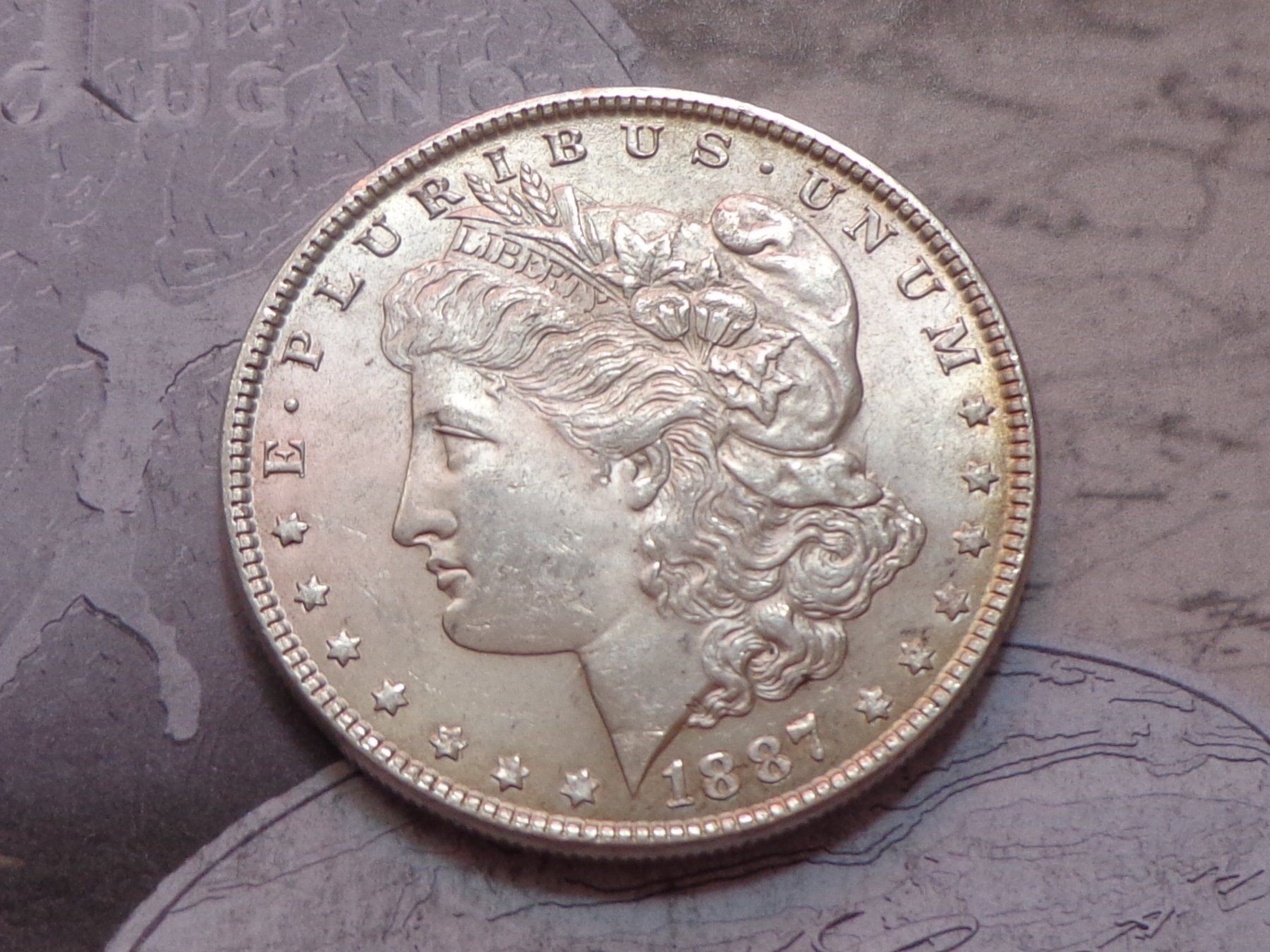 Toutes les monnaies: 1 dollar USA 1887 "Morgan dollar" – D'occasion à Pully par UCA01 1
