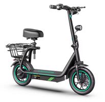 Elektro Scooter Cityroller