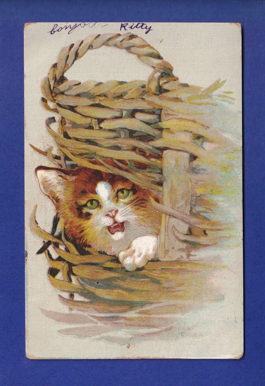 Cartes postales: CHAT - Publicité "Aux armes d'Angleterre" – D'occasion à Pully par nicecards-shop