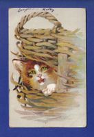 CHAT - Publicité "Aux armes d'Angleterre"