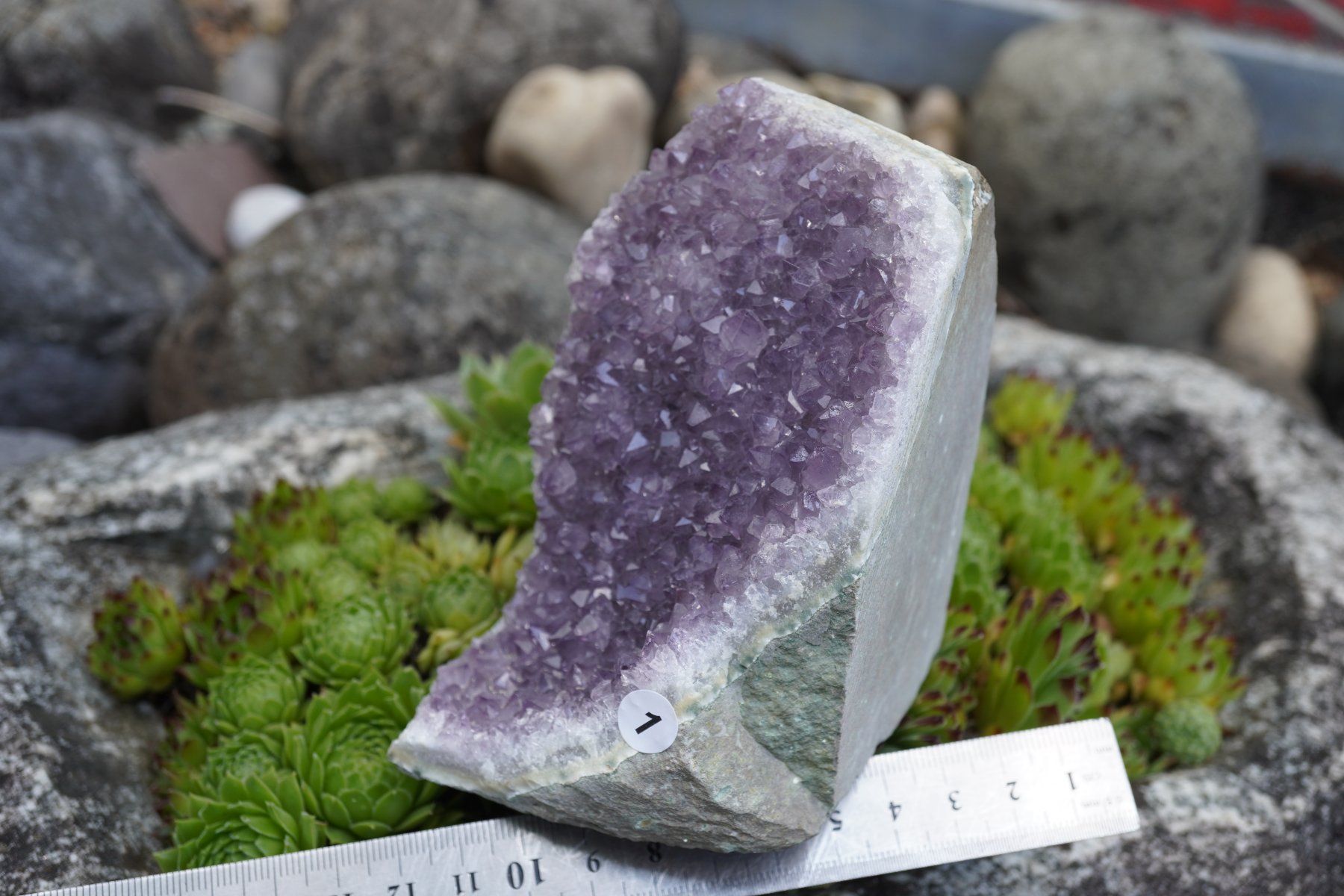 Minerali & Pietre curative: Amethyst Drusen Stück  ca 13cmx 8cm    no1 – Nuovo e nell'imballaggio originale da Eschenbach SG venduto da topstone 2