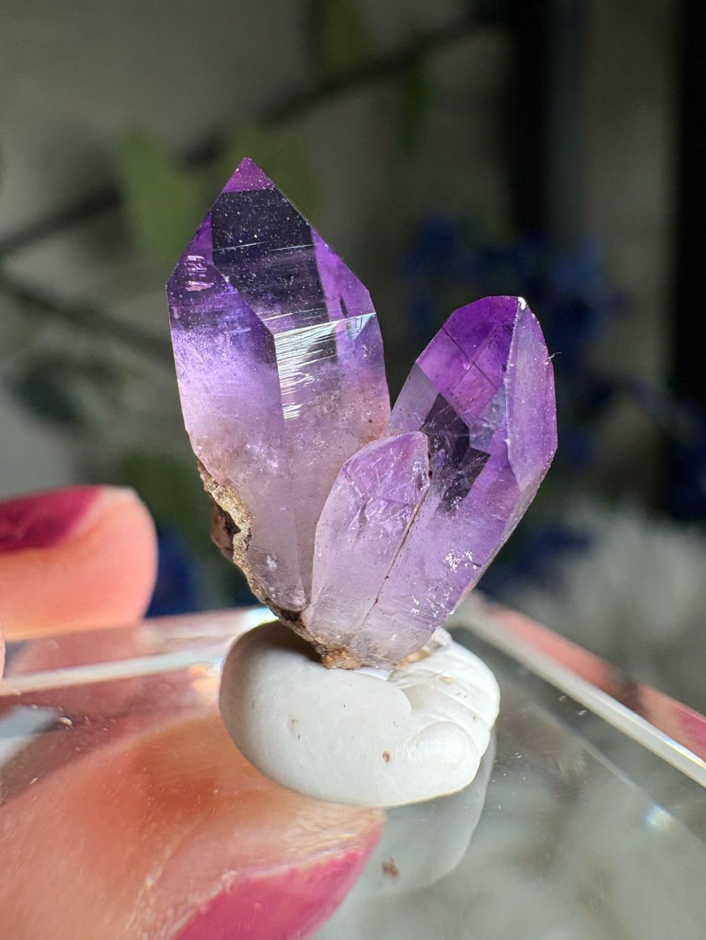 Pietre preziose: Veracruz Amethyst – Nuovo (secondo la descrizione) da Neuheim venduto da m.hald 3
