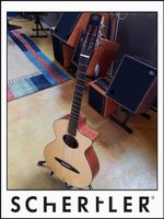 Schertler guitar/Steels strings