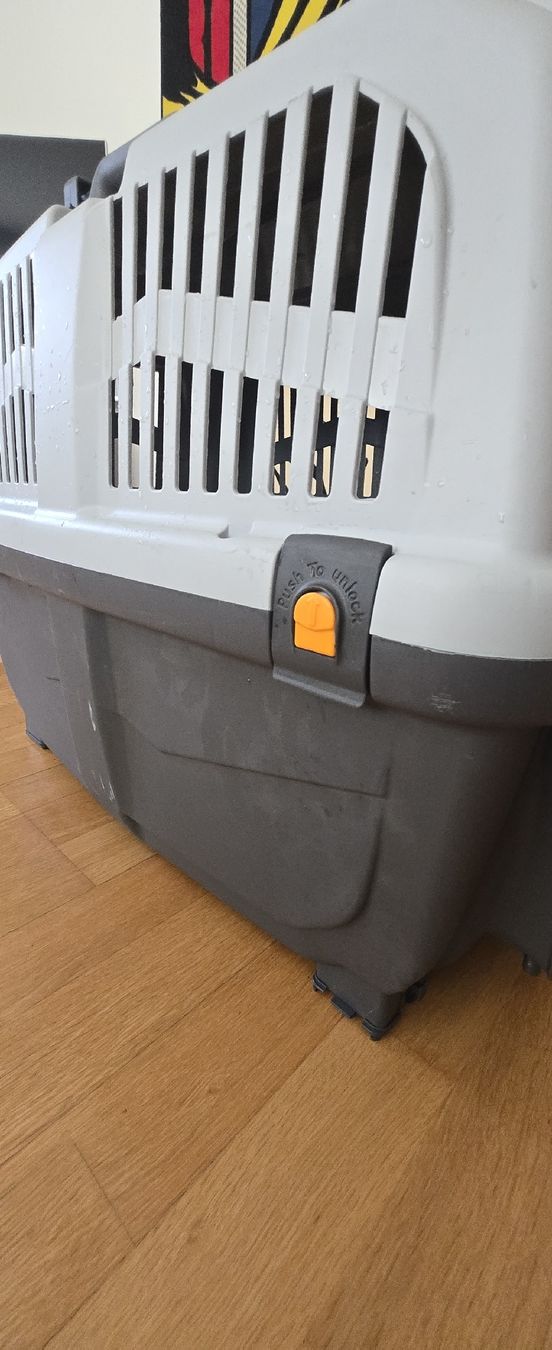 Gabbie, trasporto & Sicurezza: Transportbox Skudo 4 S/M – Usato da Zollikerberg venduto da Thrisha 2