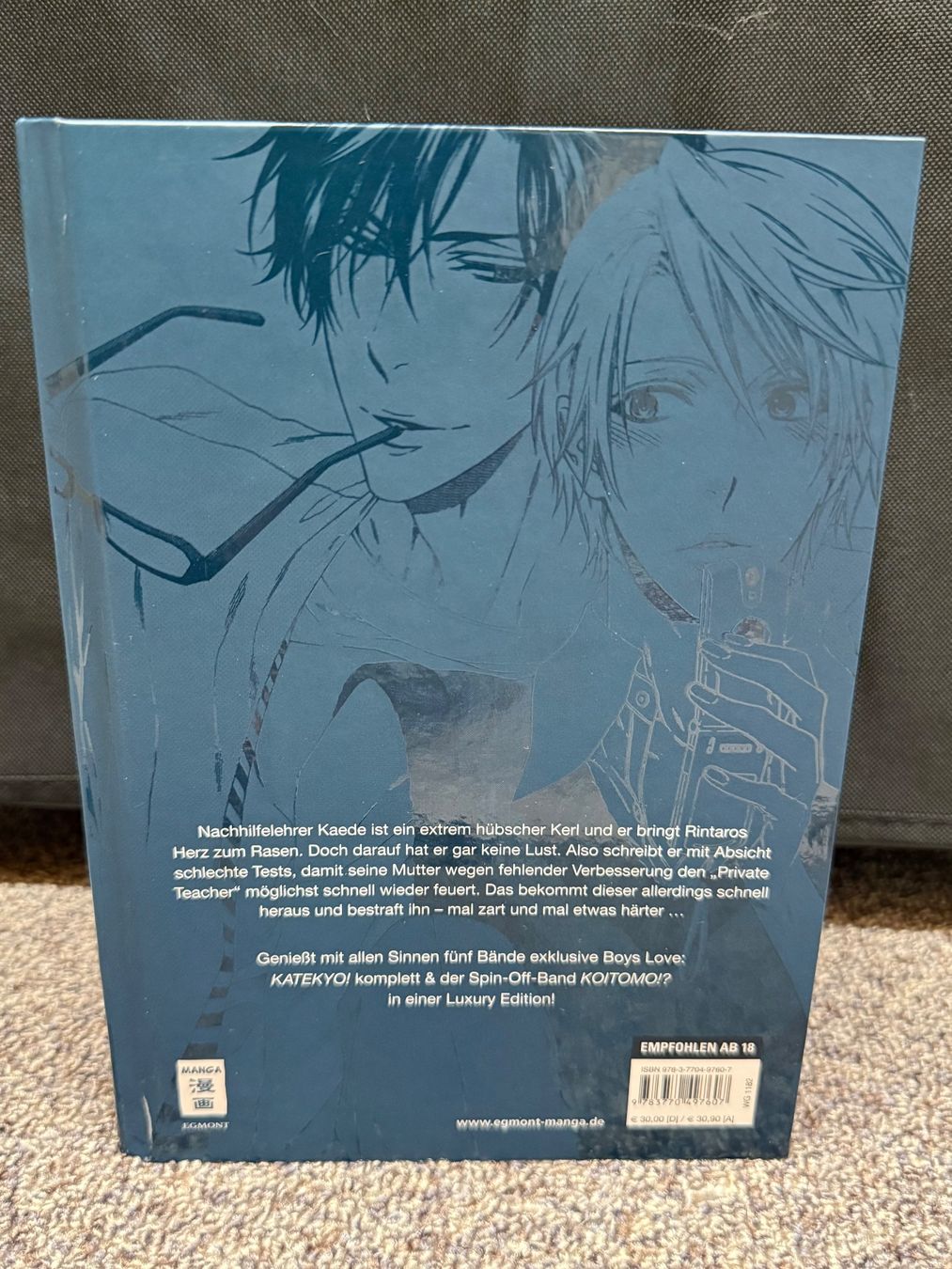 Fumetti: BL Manga: Katekyo - Gesamtausgabe – Nuovo (secondo la descrizione) da Triesen venduto da cla_q2js 1