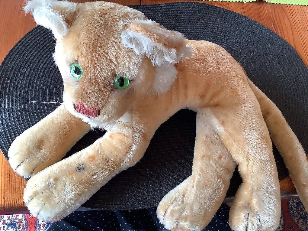 Welt der Tiere: Lowe – Gebraucht aus Worblaufen von Jarnold 2