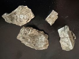 Pyrite, Namibia (5.20)