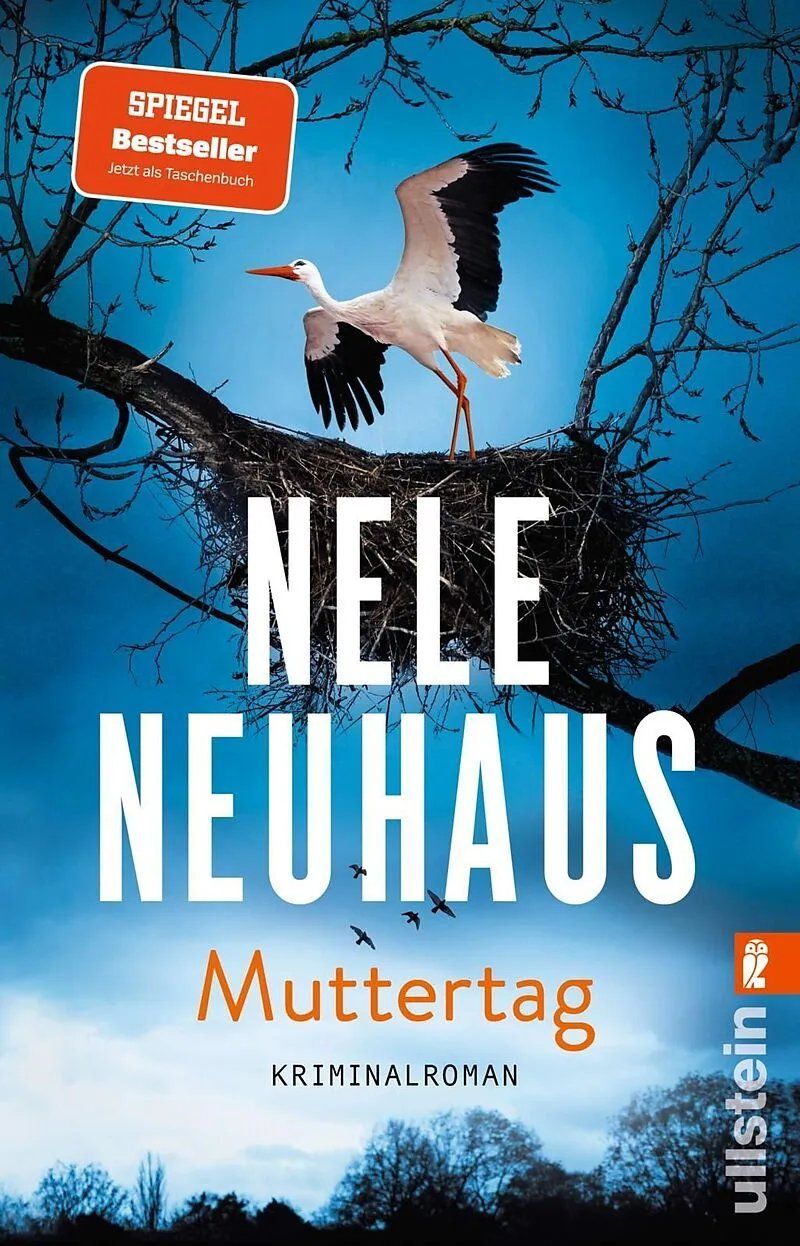Libri: 10 Krimis/Thriller – Usato da bern venduto da jeannie2006 4