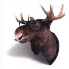 Profile image of serendipite
