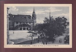 FRIBOURG - Hôtel de Ville - Tilleul