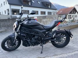 Benelli 502C,Top Zustand, Frisch ab Service