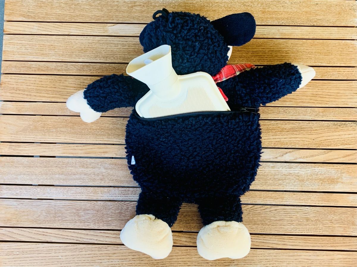 Nici Giocattoli: Nici Kuschelschaf mit Bettflasche – Usato da Fehraltorf venduto da nolram75 1