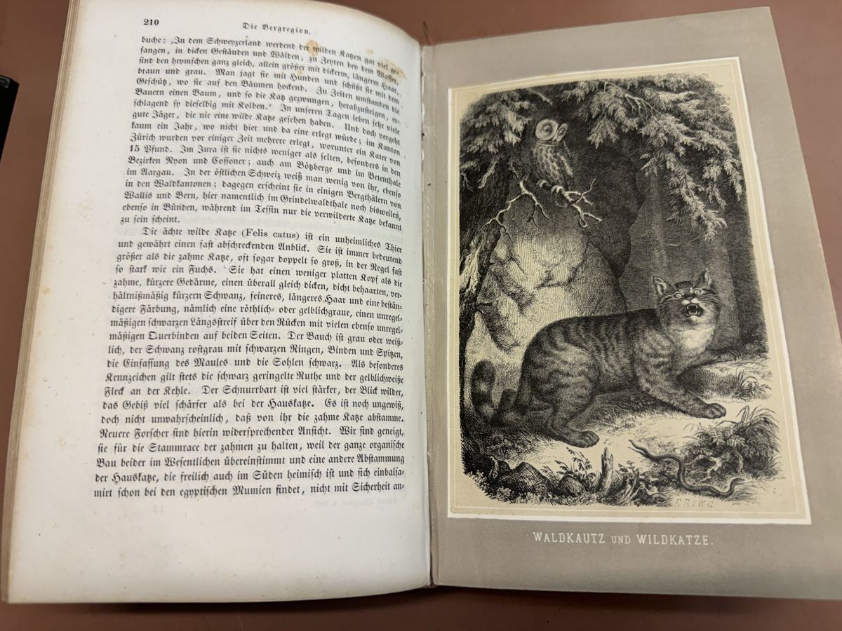 Libri: Buch Das Tierleben der Alpenwelt  1858 – Usato da Chur venduto da Meriva0 6