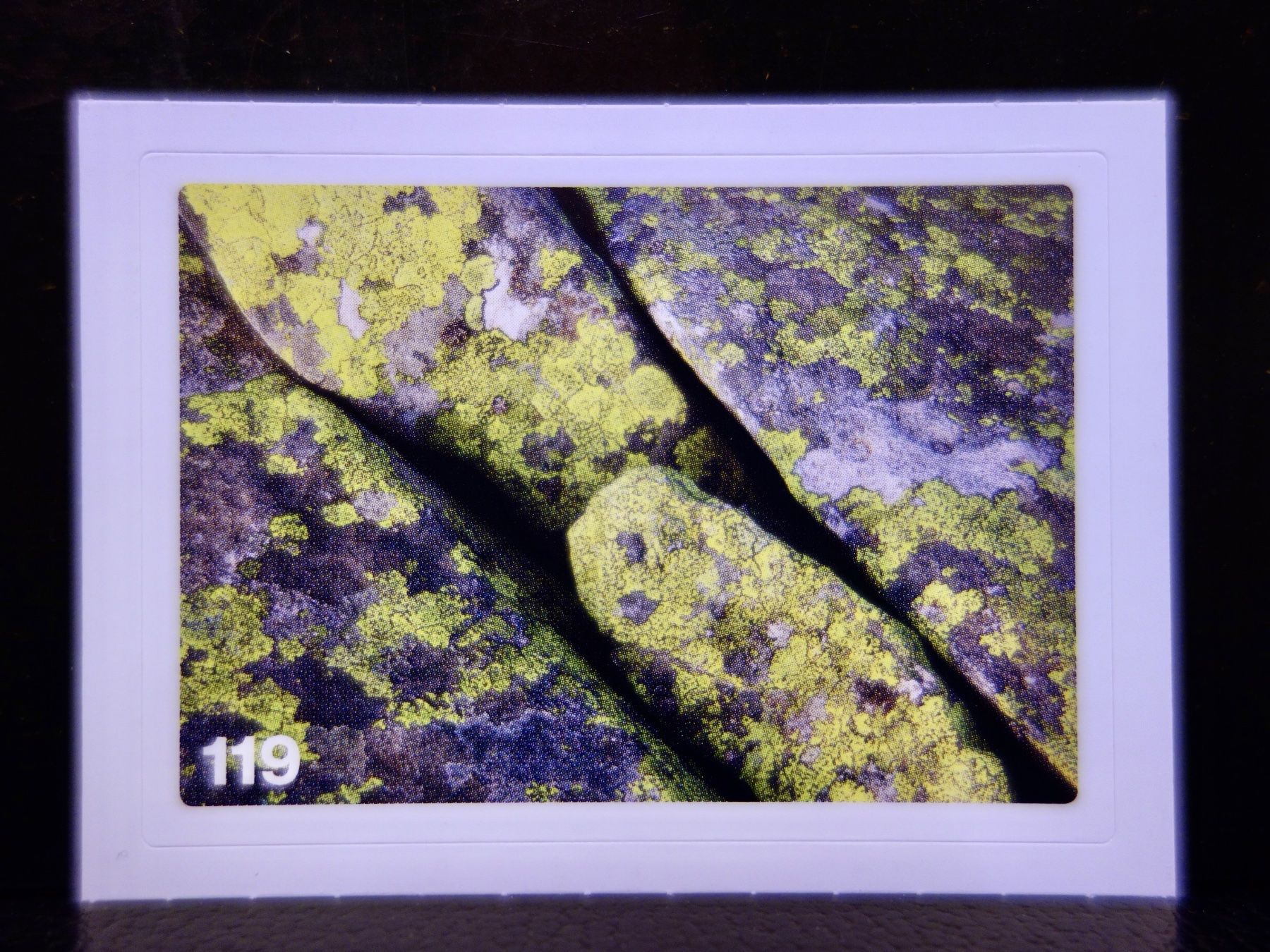 Migros Sammelbilder & Trading cards: MIGROS MANIA Nature Detectives Nr. 119 – Neu und originalverpackt aus Kerzers von djstarsky73