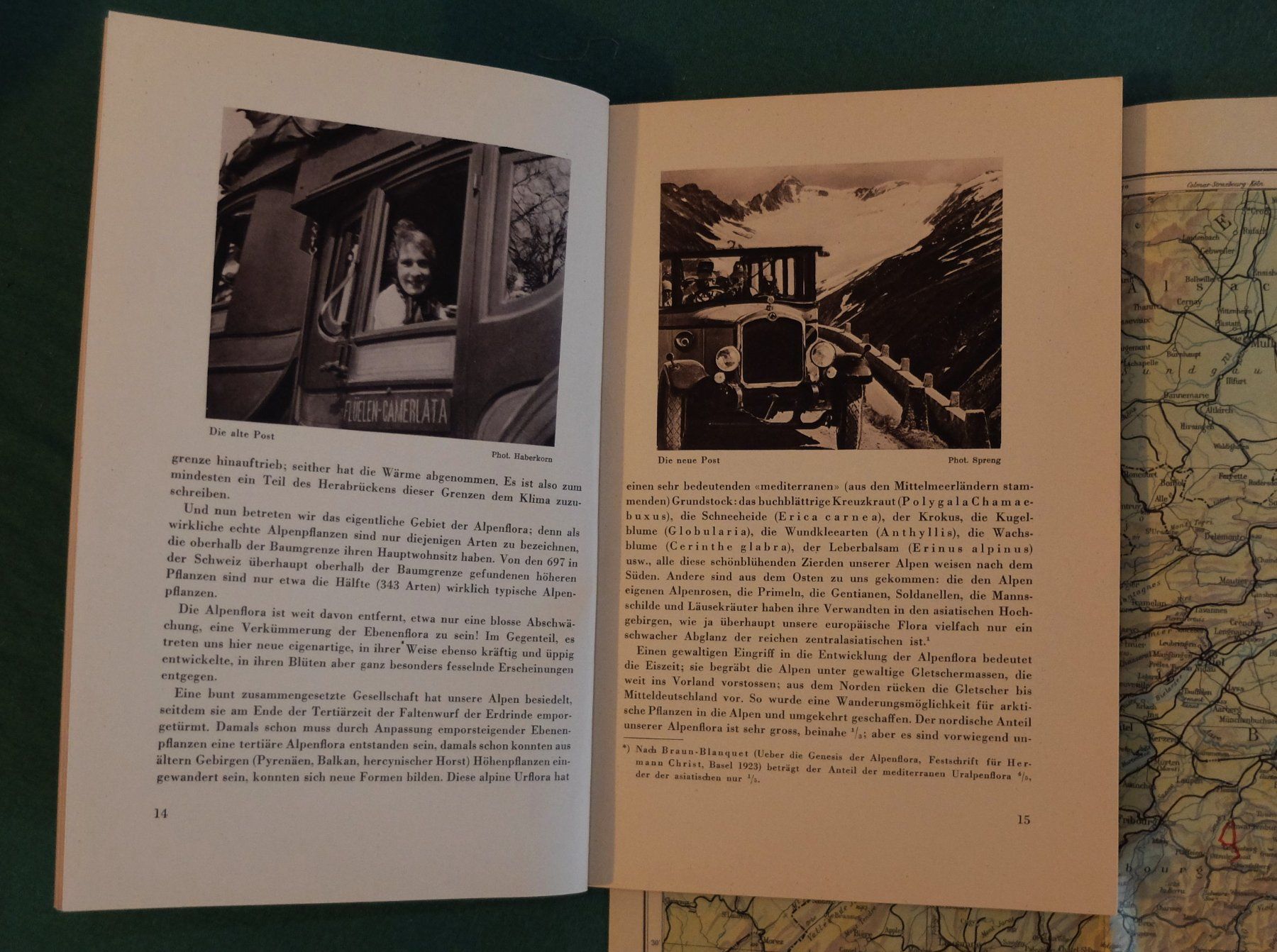 Livres: Alpenbuch – D'occasion à Wangs par Rumauch 4