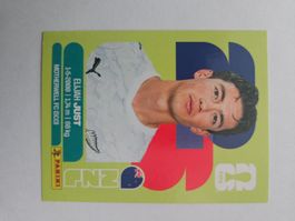 NZL 18