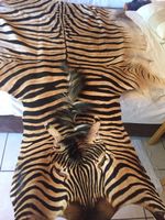 Echtes Zebra Fell Dekoration schwarz weiss guter Zustand