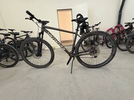 Specialized Rockhopper XL