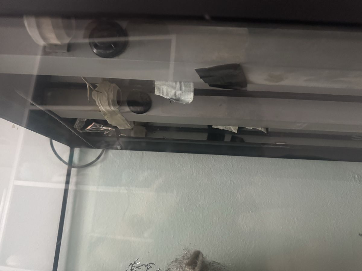Aquarium: Aquarium – Gebraucht aus Stansstad von noe_x8pr 4