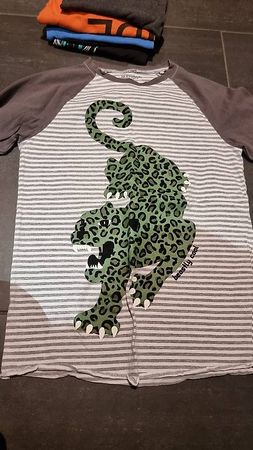 Paket 6 coole Shirts, langarm, Uebergang