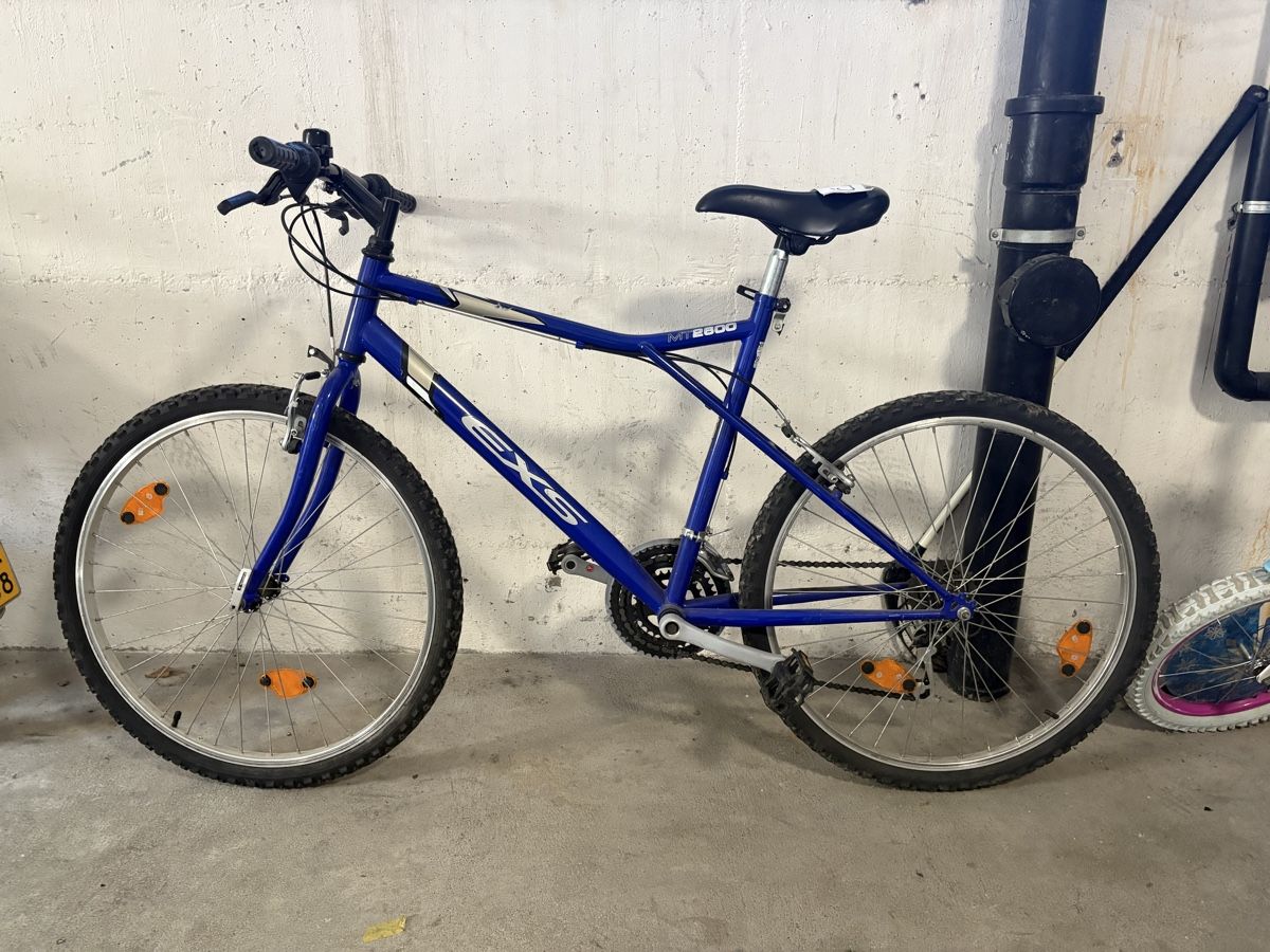 Biciclette: Fahrrad/Velo EXS MT2600 – Usato da Obfelden venduto da dan_88j2