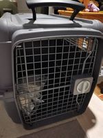 Caisse de transport pour chien