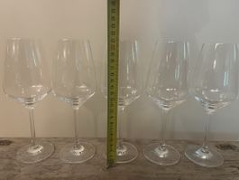 5 Schott Zwiesel Weisswein Gläser