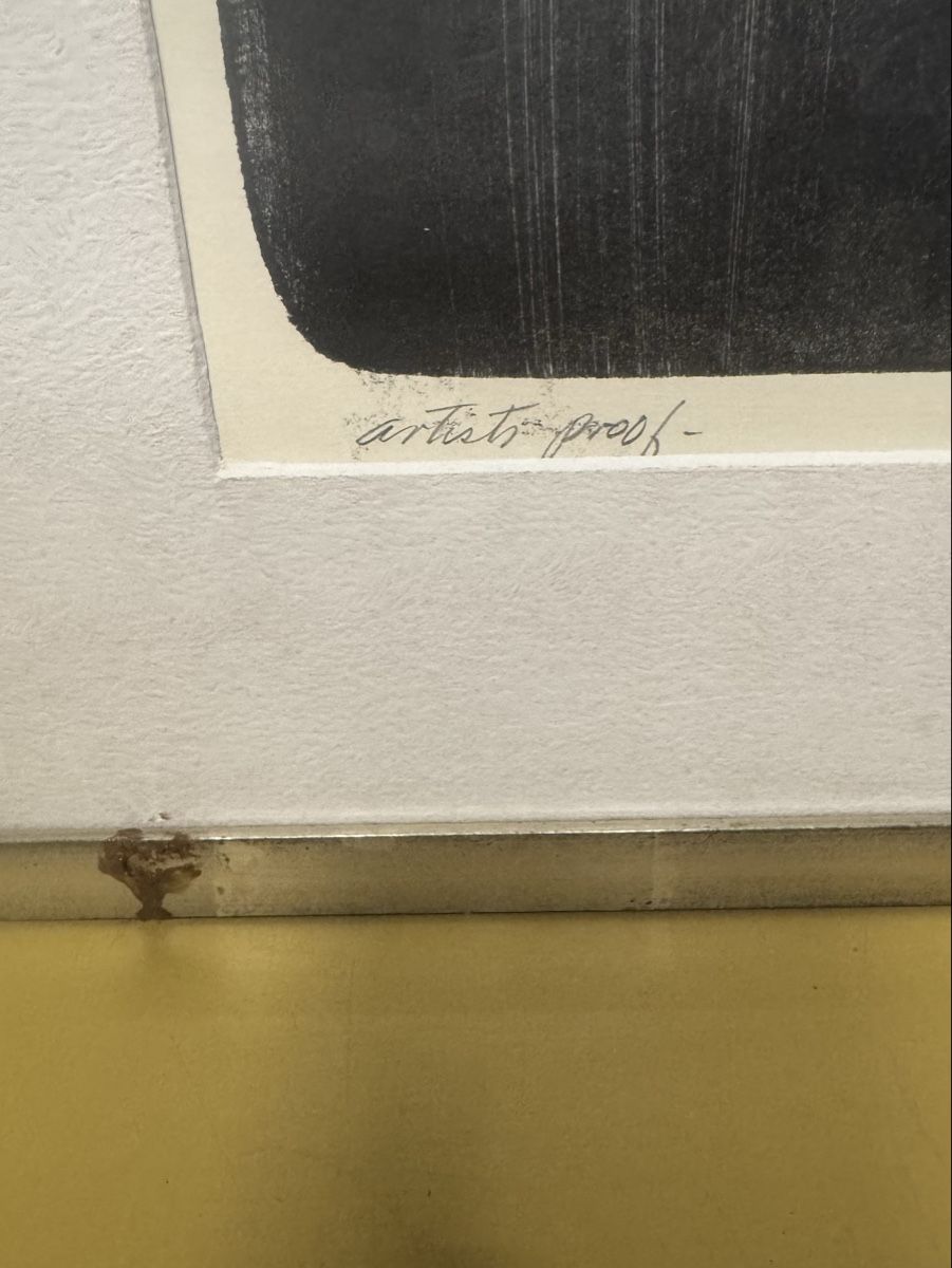 Arts picturaux & lithographies: Lithos Hand signiert  – D'occasion à Schlieren par Freundlich02 3