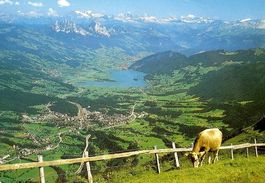 RIGI Kuh, Ausblick von Rigi-Kulm gegen Lauerzersee, Goldau