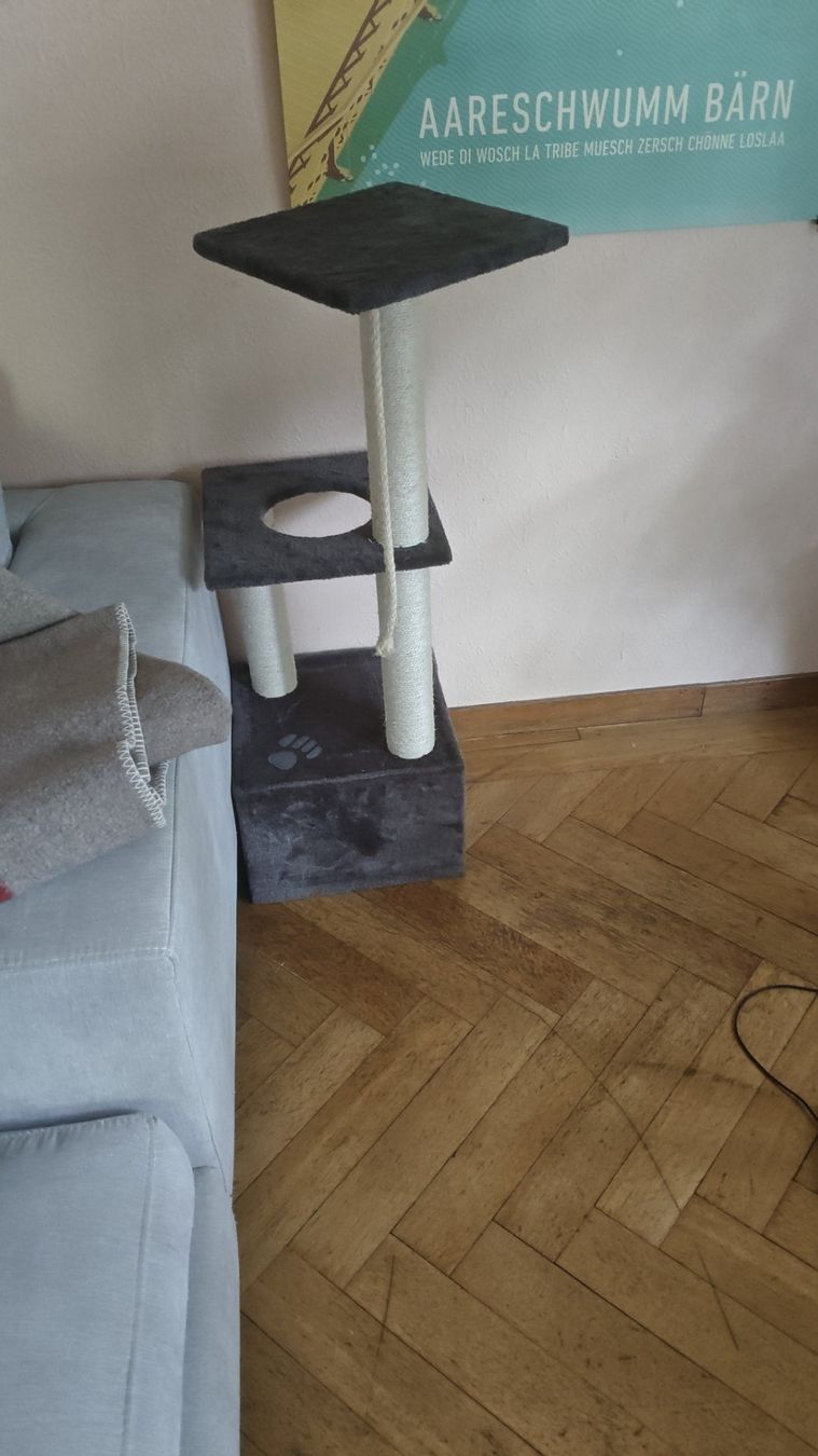 Tiragraffi: Katzenkratzbaum 106 cm hohe – Nuovo (secondo la descrizione) da Bern venduto da jte_6v7b