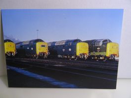 Postcard BR Class 55 Deltic Diesel Electric Lokomotive 1981
