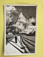 AK von Alphornbläser mit Bergpanorama