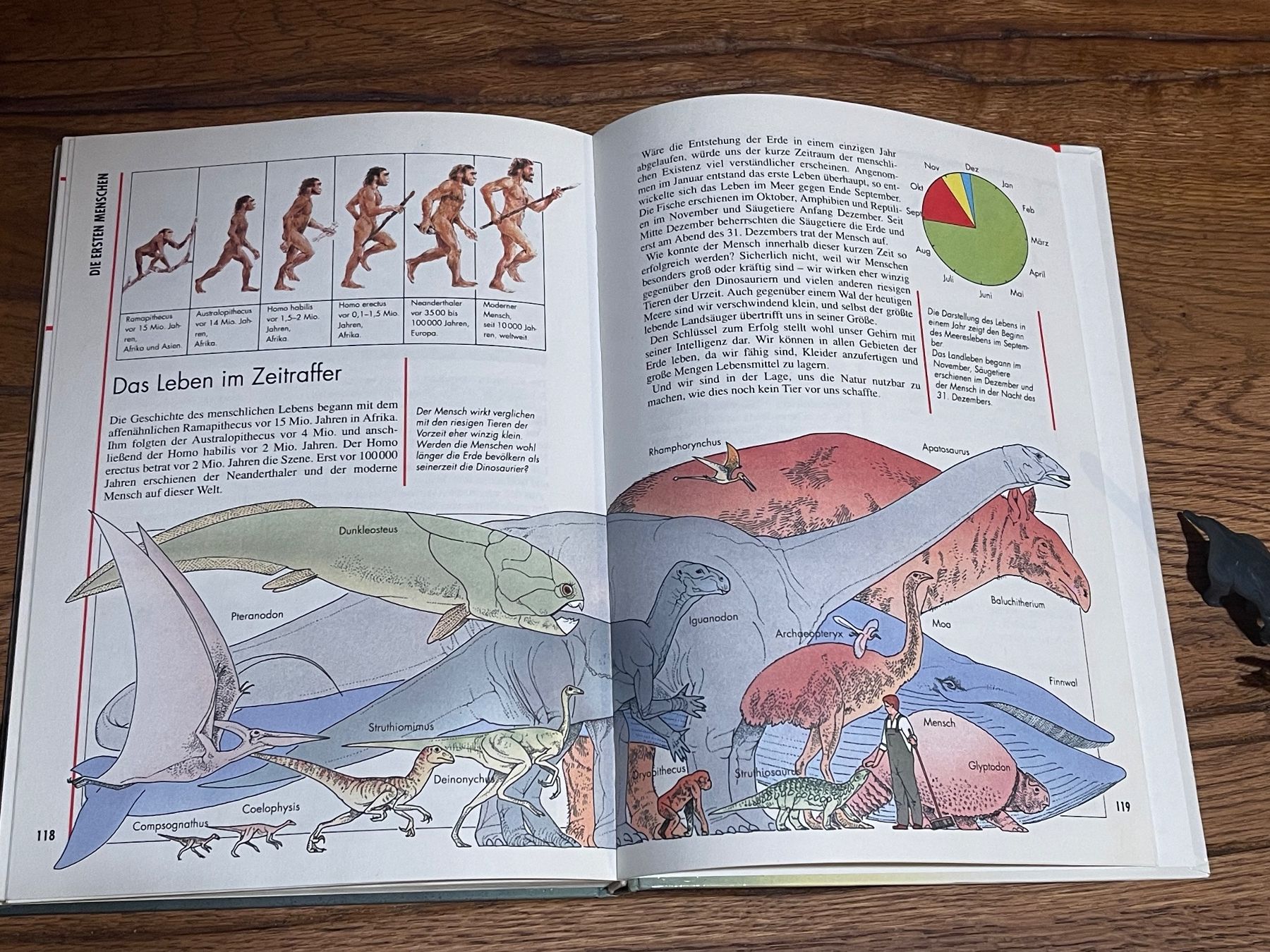 Bücher: Dinosaurier-Set mit Buch "Die Urzeit" für Kinder mit 2 Dinos – Gebraucht aus Zuerich von Dorsi 6
