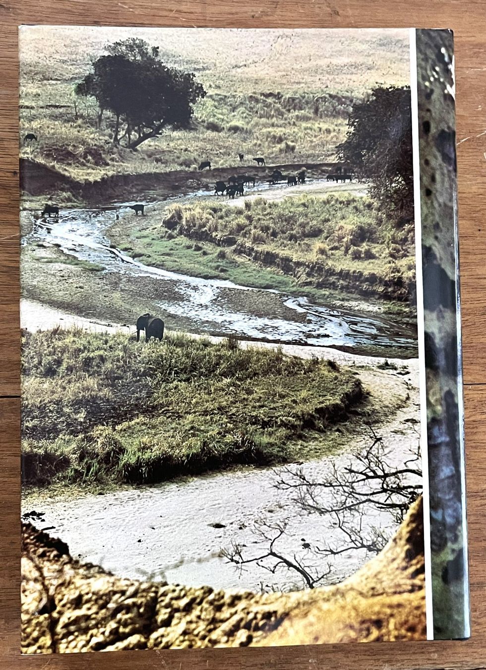 Bücher: Silva Verlag, Zoo Ostafrika, 1966 – Gebraucht aus Oftringen von Vucki 9