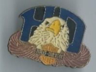 Harley-Davidson Pin