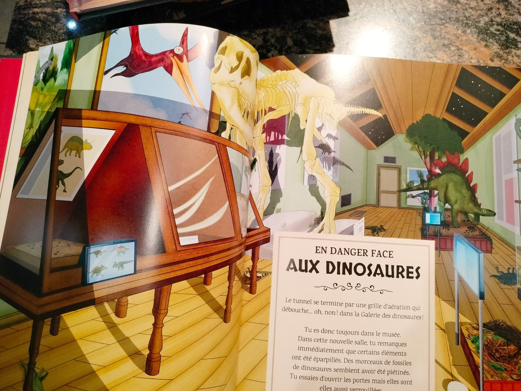 Libri: Opération Muséum - 24 Énigmes À Résoudre Pour T'échapper – Usato da Cortaillod venduto da rozinna 4