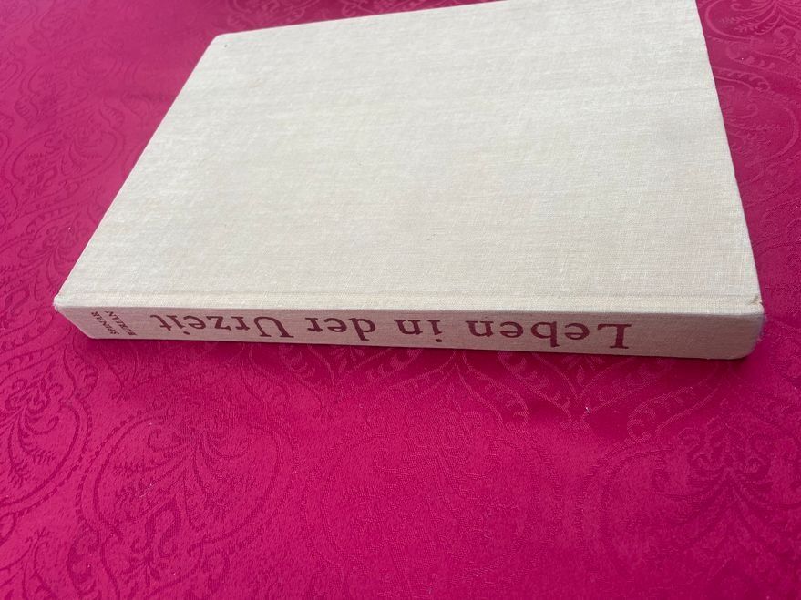 Libri: Leben in der Urzeit – Usato da Bergdietikon venduto da Book-4-you_2nd