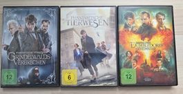 DVD Phantastische Tierwesen - Set mit allen 3 Filmen
