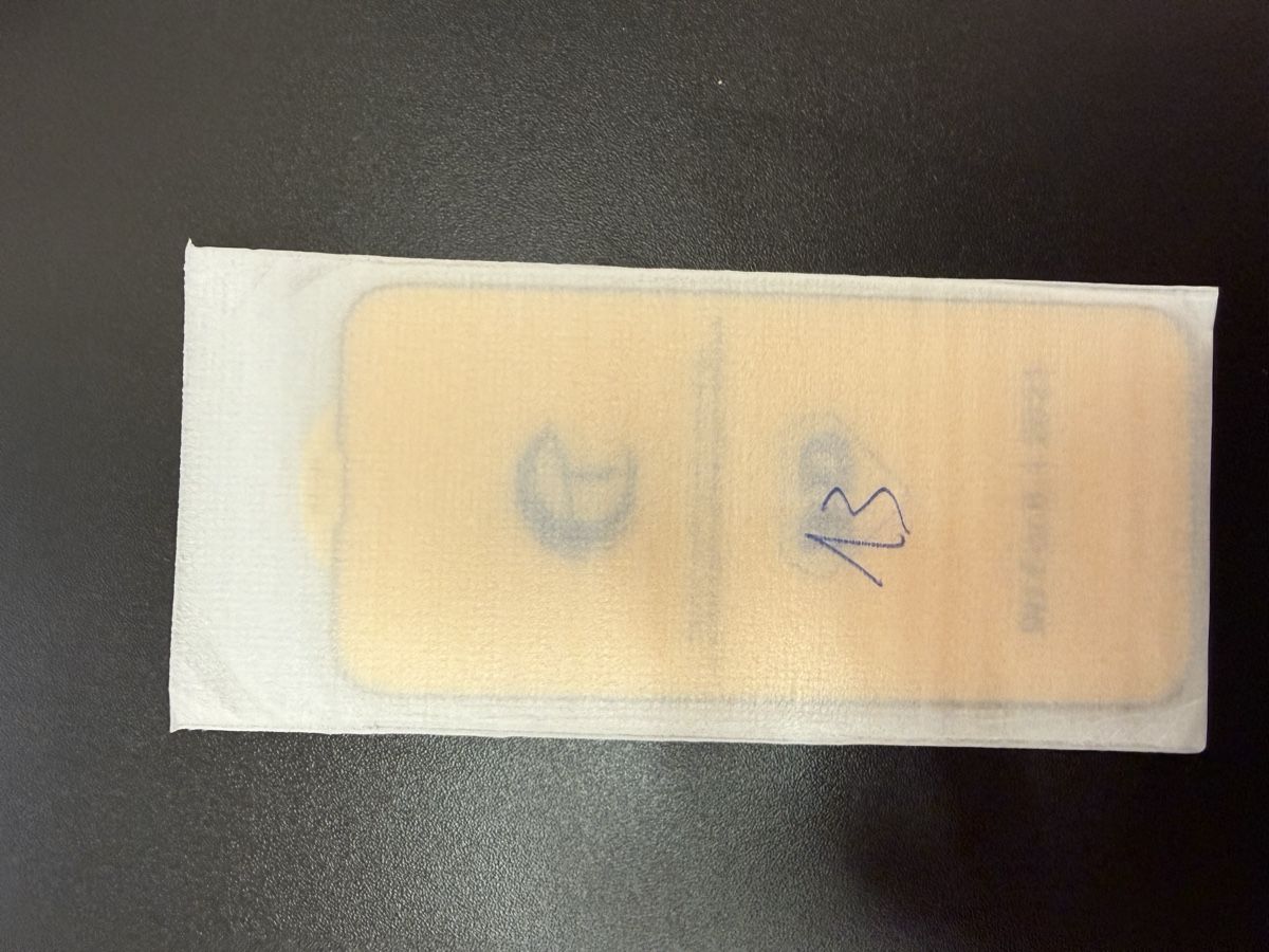 Gläser: Panzerglass für diverse iPhone – Neu (gemäss Beschreibung) aus Thun von ton_2fcg 5