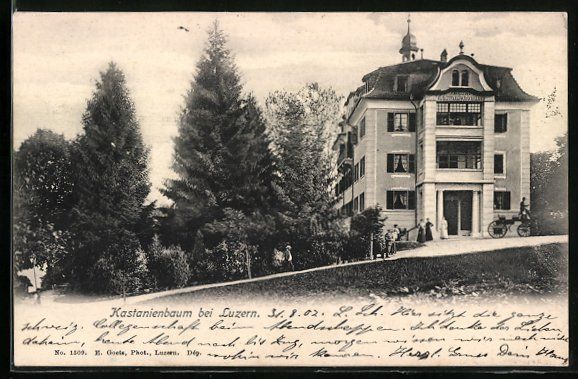 Cartoline postali: AK Luzern, Hotel Pension Kastanienbaum – Usato da Berlin venduto da bartko-reher