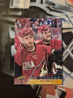 NHL Alex Goligoski Arizona Coyotes