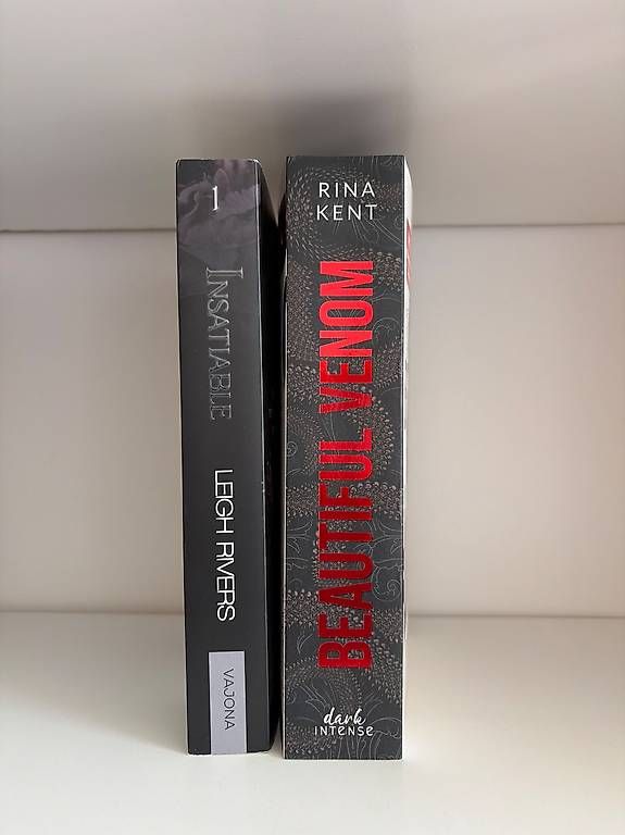 Libri: Dark Romance Buch – Usato da Birsfelden venduto da beg_pyx6 1