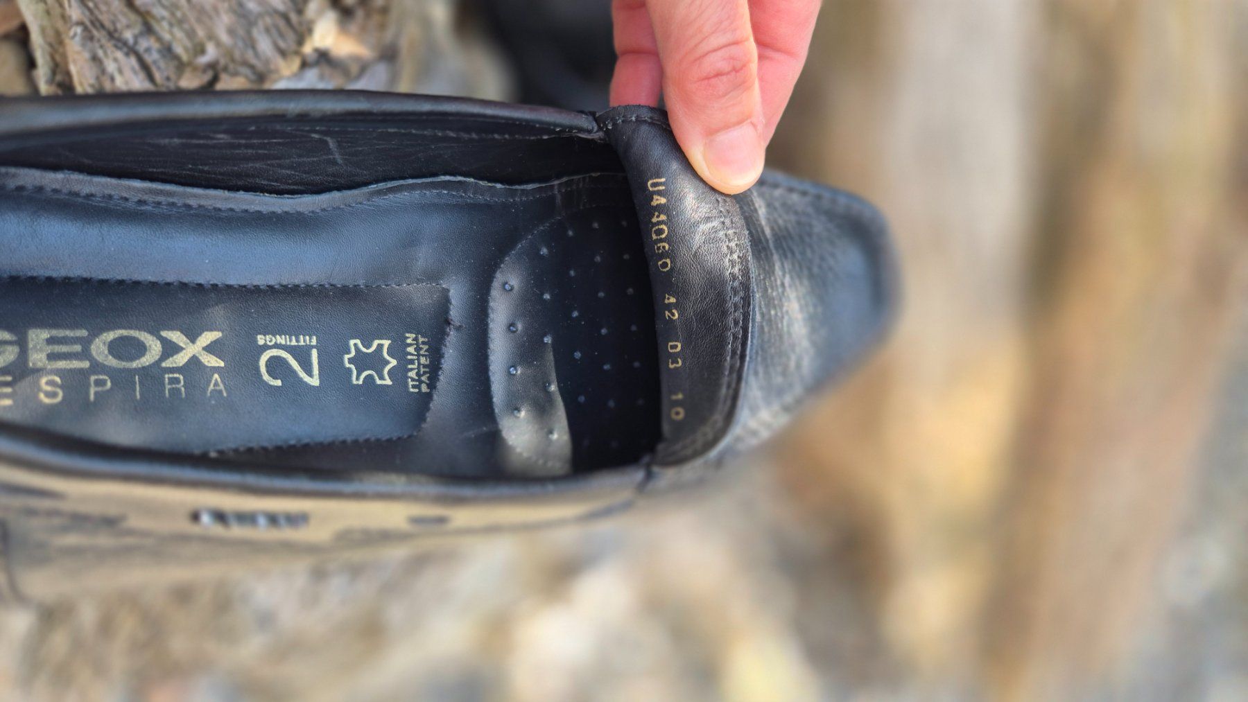 Geox Herrenschuhe: Geox Lederschuh Gr. 42 neuwertig – Gebraucht aus Einigen von Bern73 3