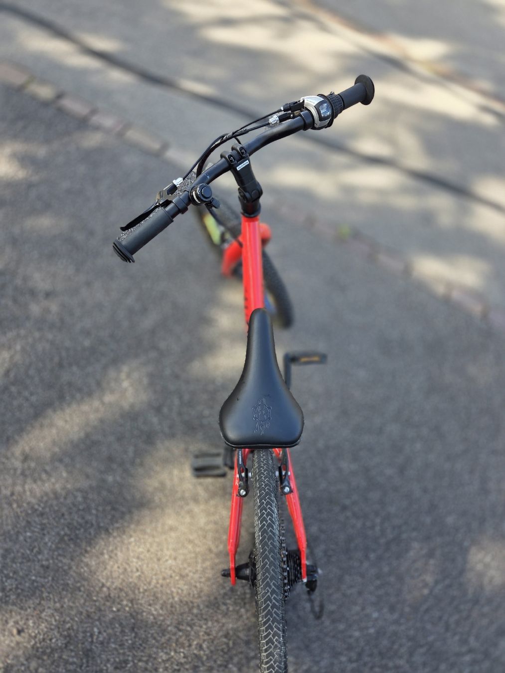 Flizzi Biciclette: Kinderfahrrad Flizzi rot 20-Zoll – Usato da Rickenbach Sulz venduto da Flores1980 2
