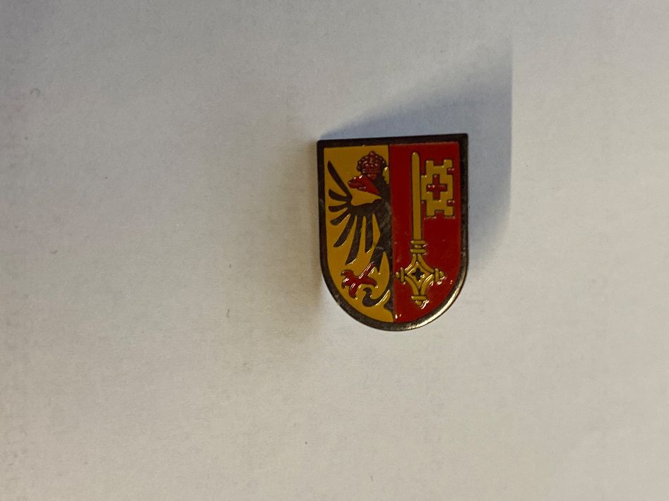 Placchette & Badge: Pin's - Genève – Usato da Le Brassus venduto da cinema13