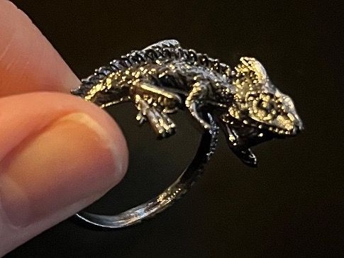 Anelli: Ring mit Eidechse (one Size) / Nr. 45 – Nuovo (secondo la descrizione) da Gams venduto da Mariawicca 1