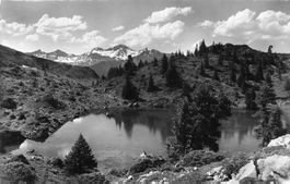 Frutigen BE Elsigenalp Elsigsee mit Wildstrubel