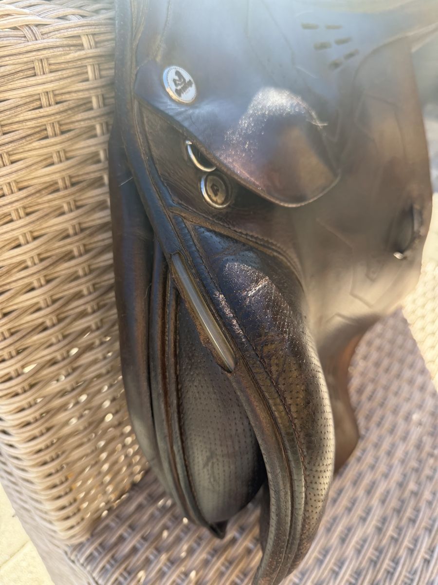 Selle & Accessori: Prestige X-Breath – Usato da Zollbrück venduto da latiffa01 3